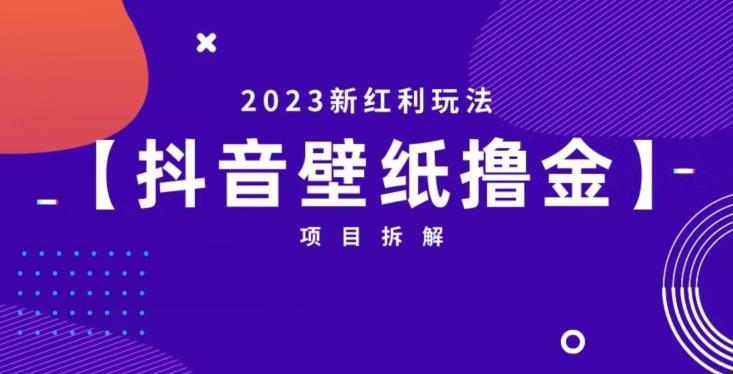 抖音壁纸小程序创作者撸金项目，2023新红利玩法【项目拆解】-啄木鸟资源库