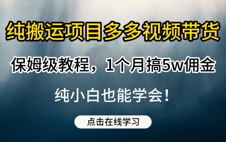 纯搬运项目多多视频带货保姆级教程，1个月搞5w佣金，纯小白也能学会【揭秘】-啄木鸟资源库