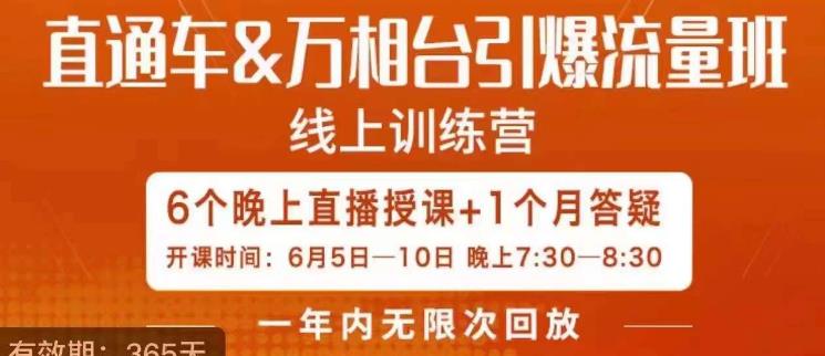 直通车&万相台引爆流量班，6天打通你开直通车·万相台的任督二脉-啄木鸟资源库