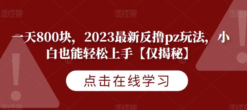 一天800块，2023最新反撸pz玩法，小白也能轻松上手【仅揭秘】-啄木鸟资源库