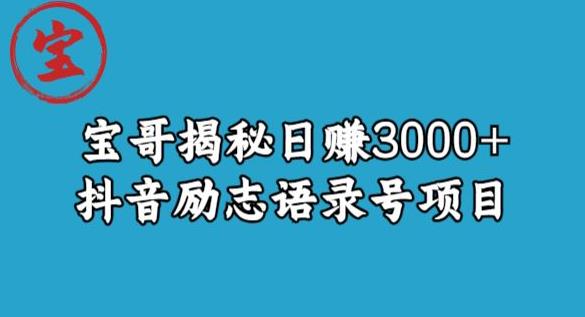 宝哥揭秘日赚3000+抖音励志语录号短视频变现项目-啄木鸟资源库