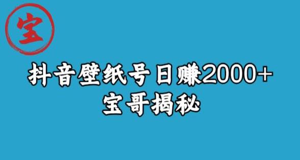 宝哥抖音壁纸号日赚2000+，不需要真人露脸就能操作【揭秘】-啄木鸟资源库