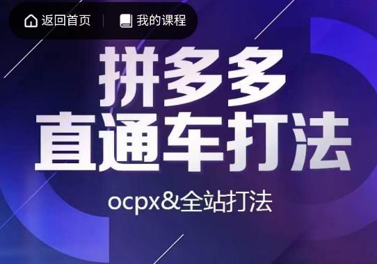 互力·拼多多直通车打法，ocpx&全站打法-啄木鸟资源库