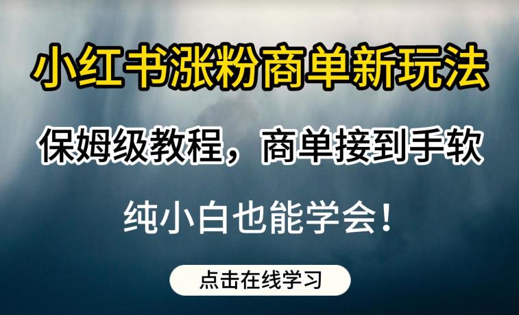 小红书涨粉商单新玩法，保姆级教程，商单接到手软，纯小白也能学会【揭秘】-啄木鸟资源库