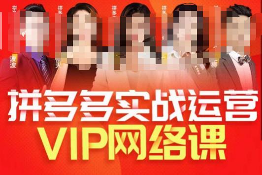 推易拼多多VIP全套直播课程，拼多多店铺实操玩法+实战玩法选款内功+直通车高阶等-啄木鸟资源库