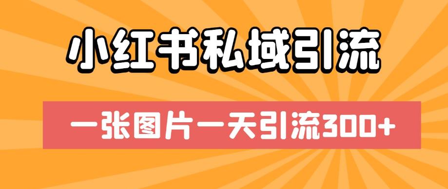 小红书私域引流，一张图片一天引流300+【揭秘】-啄木鸟资源库