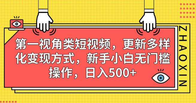 第一视角类短视频，更新多样化变现方式，新手小白无门槛操作，日入500+【揭秘】-啄木鸟资源库