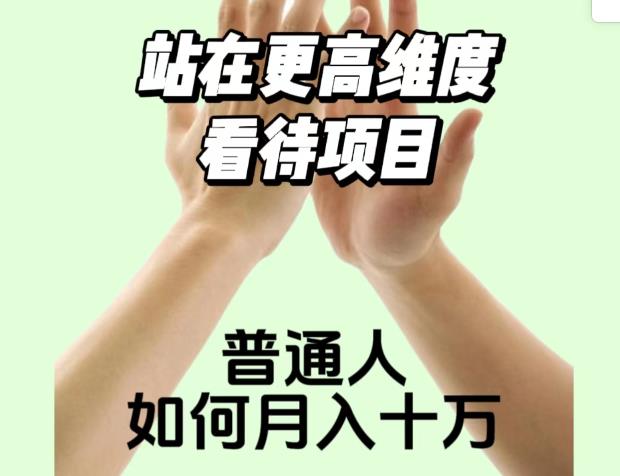 2023最火项目：站在更高维度看待项目，普通人如何月入十万【揭秘】-啄木鸟资源库