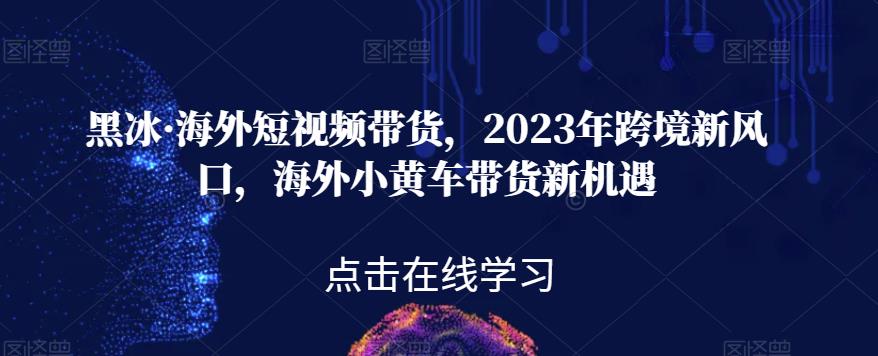 黑冰·海外短视频带货，2023年跨境新风口，海外小黄车带货新机遇-啄木鸟资源库