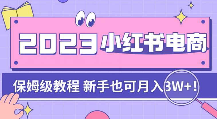 阿本小红书电商陪跑营4.0，带大家从0到1把小红书做起来-啄木鸟资源库