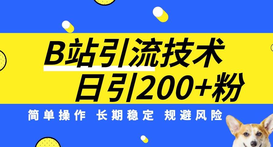 B站引流技术：每天引流200精准粉，简单操作，长期稳定，规避风险-啄木鸟资源库