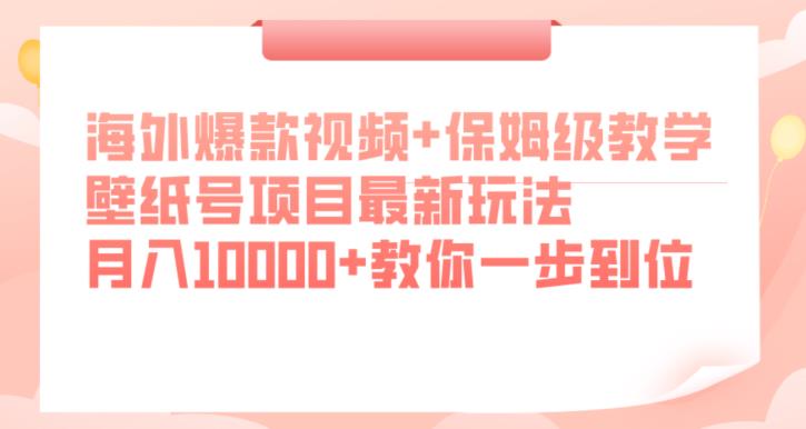 海外爆款视频+保姆级教学，壁纸号项目最新玩法，月入10000+教你一步到位【揭秘】-啄木鸟资源库