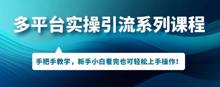 多平台引流实操系列课程，新手小白看完也可轻松上手进行引流操作-啄木鸟资源库