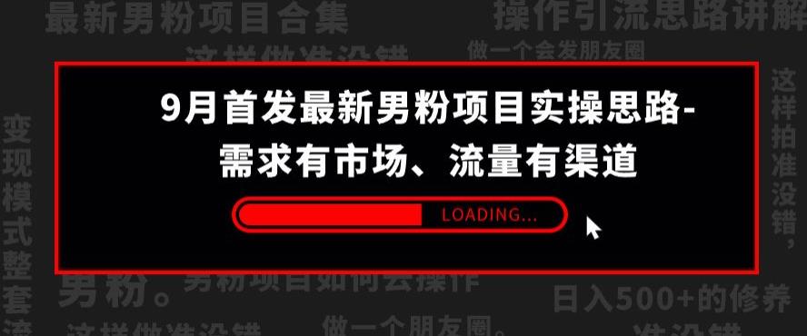 9月首发最新男粉项目实操思路-需求有市场，流量有渠道【揭秘】-啄木鸟资源库