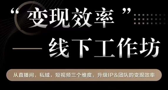 变现效率线下工作坊，从‮播直‬间、私域、‮视短‬频‮个三‬维度，升级IP和团队变现效率-啄木鸟资源库