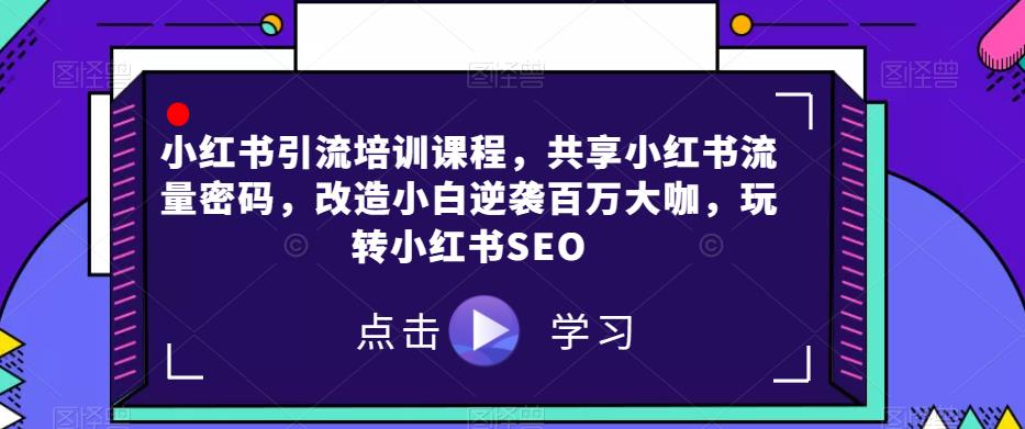 小红书引流培训课程，共享小红书流量密码，改造小白逆袭百万大咖，玩转小红书SEO-啄木鸟资源库