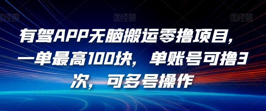 有驾APP无脑搬运零撸项目，一单最高100块，单账号可撸3次，可多号操作【揭秘】-啄木鸟资源库