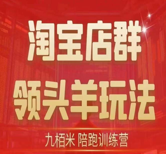 九栢米-淘宝店群领头羊玩法，教你整个淘宝店群领头羊玩法以及精细化/终极蓝海/尾销等内容-啄木鸟资源库