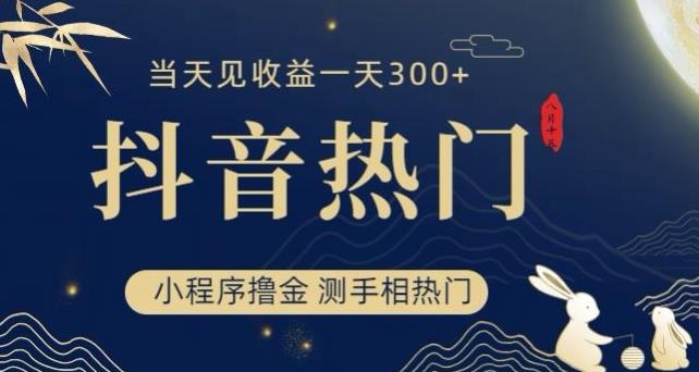 抖音最新小程序撸金，测手相上热门，当天见收益一小时变现300+【揭秘】-啄木鸟资源库