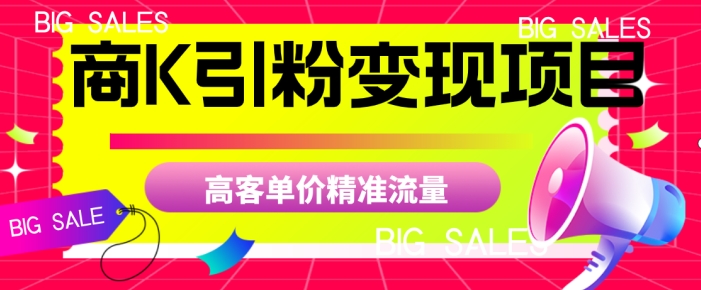 商K引粉变现项目，高客单价精准流量【揭秘】-啄木鸟资源库