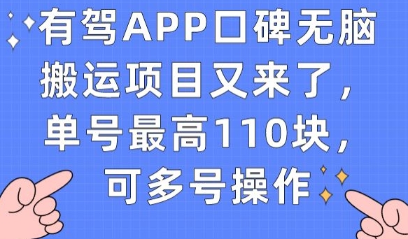 有驾APP口碑无脑搬运项目又来了，单号最高110块，可多号操作-啄木鸟资源库