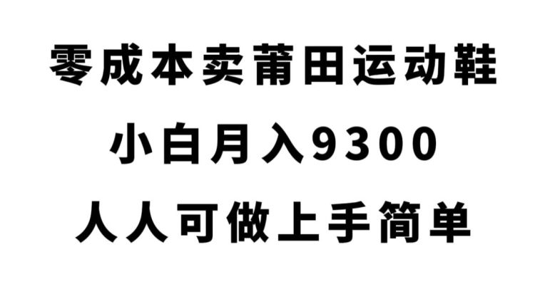 零成本卖莆田运动鞋，小白月入9300，人人可做上手简单【揭秘】-啄木鸟资源库