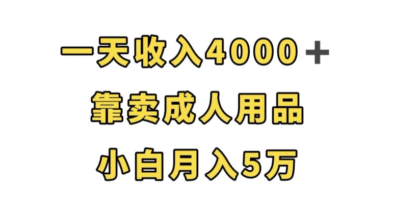 一天收入4000+，靠卖成人用品，小白轻松月入5万【揭秘】-啄木鸟资源库