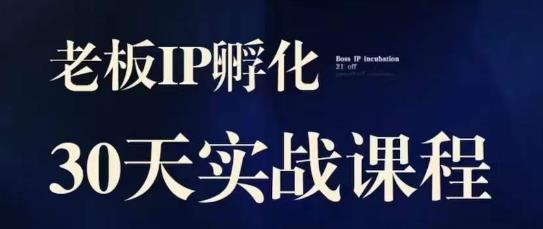 诸葛·2023老板IP实战课，实体同城引流获客，IP孵化必听-啄木鸟资源库