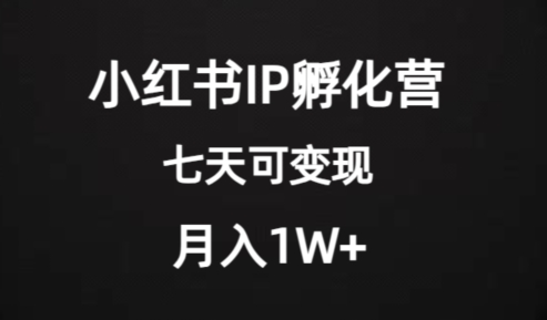 价值2000+的小红书IP孵化营项目，超级大蓝海，七天即可开始变现，稳定月入1W+-啄木鸟资源库