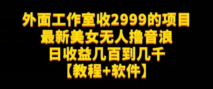 外面工作室收2999的项目最新美女无人撸音浪日收益几百到几千【教程+软件】（仅揭秘）-啄木鸟资源库