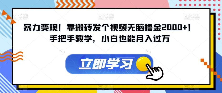 暴力变现！靠搬砖发个视频无脑撸金2000+！手把手教学，小白也能月入过万【揭秘】-啄木鸟资源库