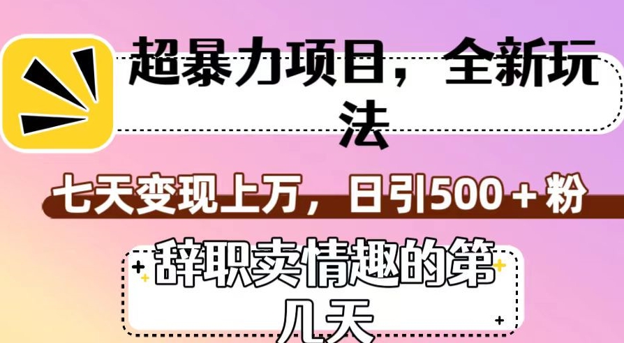 超暴利项目，全新玩法（辞职卖情趣的第几天），七天变现上万，日引500+粉【揭秘】-啄木鸟资源库