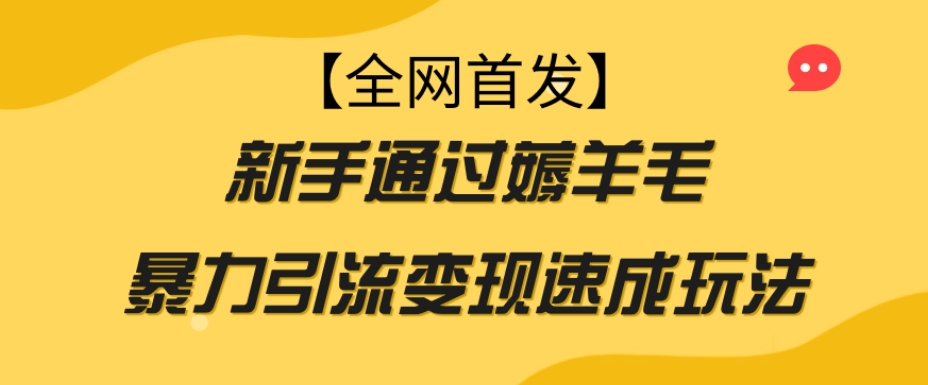 【全网首发】新手通过薅羊毛暴力引流变现速成玩法-啄木鸟资源库