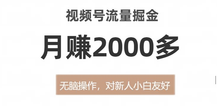 视频号流量掘金，无脑操作，对新人小白友好，月赚2000多【揭秘】-啄木鸟资源库