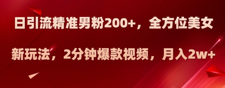 日引流精准男粉200+，全方位美女新玩法，2分钟爆款视频，月入2w+【揭秘】-啄木鸟资源库