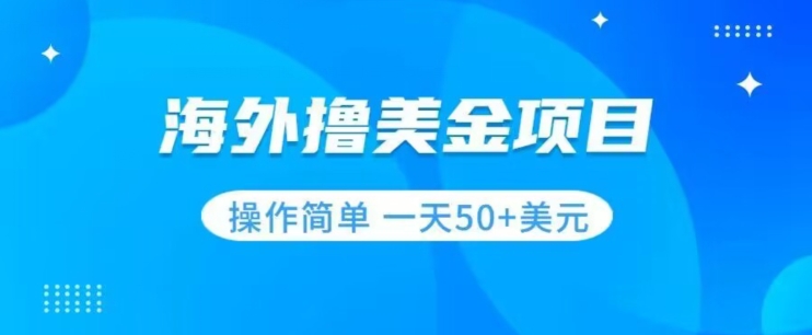 撸美金项目无门槛操作简单小白一天50+美刀-啄木鸟资源库