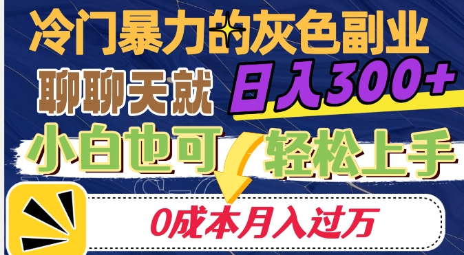 冷门暴利的副业项目，聊聊天就能日入300+，0成本月入过万【揭秘】-啄木鸟资源库