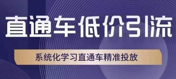 直通车低价引流课，系统化学习直通车精准投放-啄木鸟资源库