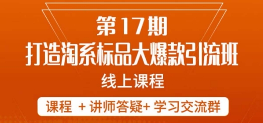 南掌柜-第17期打造淘系标品大爆款，5天线上课-啄木鸟资源库