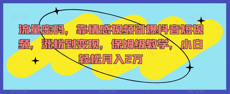 流量密码，靠情感视频引爆抖音短视频，涨粉到变现，保姆级教学，小白轻松月入2万【揭秘】-啄木鸟资源库