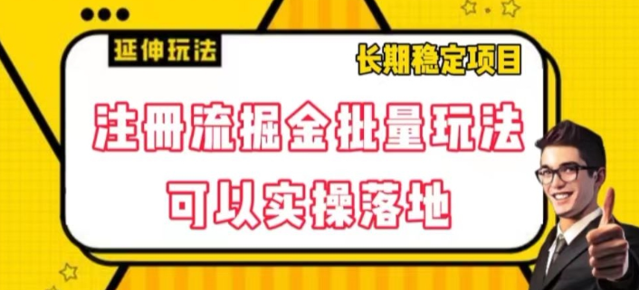 注册流掘金批量玩法，可以实操落地【揭秘】-啄木鸟资源库