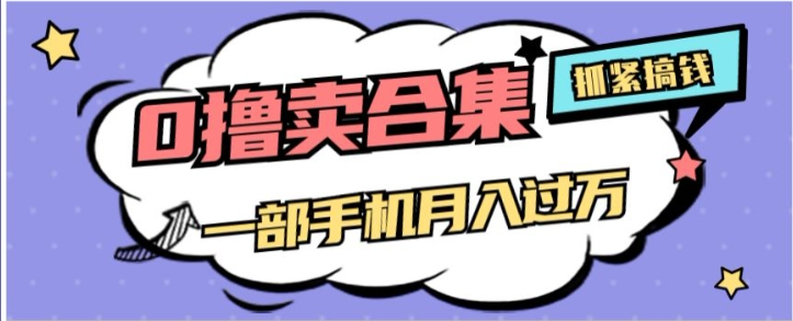 0撸项目月入过万，售卖全套ai工具合集，一单29.9元，一部手机即可【揭秘】-啄木鸟资源库