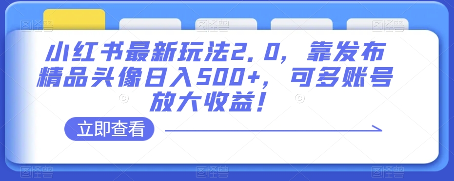 小红书最新玩法2.0，靠发布精品头像日入500+，可多账号放大收益！【揭秘】-啄木鸟资源库