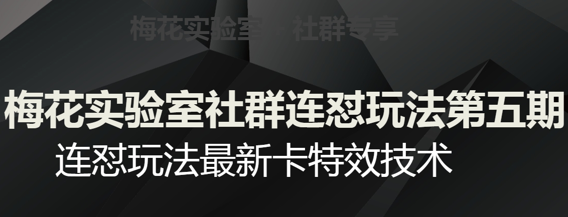 梅花实验室社群连怼玩法第五期，视频号连怼玩法最新卡特效技术-啄木鸟资源库