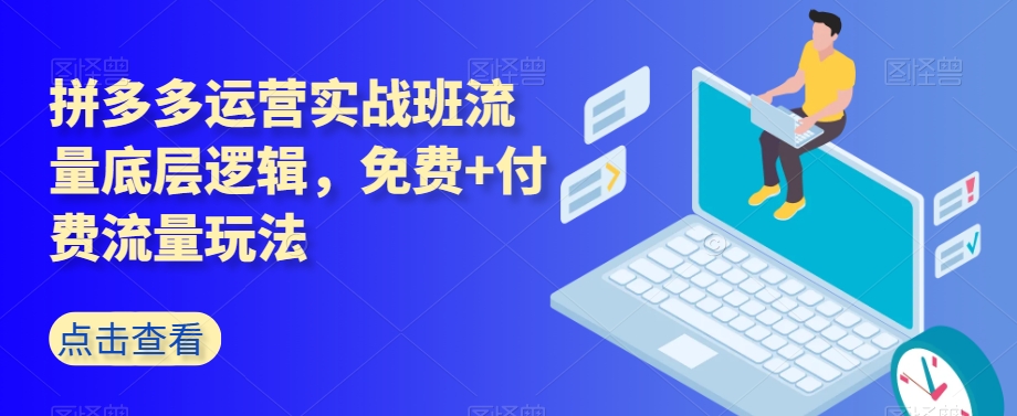 拼多多运营实战班流量底层逻辑，免费+付费流量玩法-啄木鸟资源库