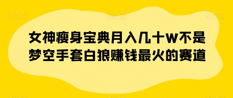 女神瘦身宝典月入几十W不是梦空手套白狼赚钱最火的赛道【揭秘】-啄木鸟资源库