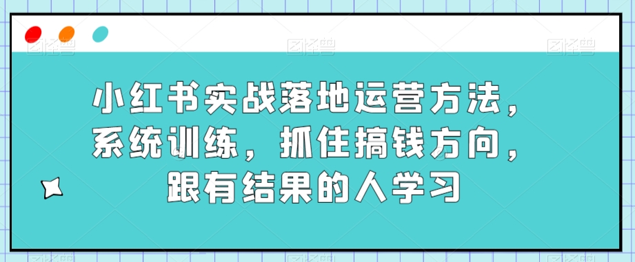 小红书实战落地运营方法，系统训练，抓住搞钱方向，跟有结果的人学习-啄木鸟资源库