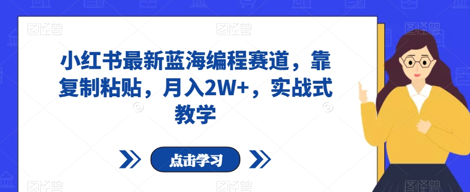 小红书最新蓝海编程赛道，靠复制粘贴，月入2W+，实战式教学【揭秘】-啄木鸟资源库