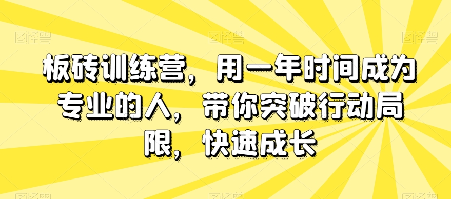 板砖训练营，用一年时间成为专业的人，带你突破行动局限，快速成长-啄木鸟资源库