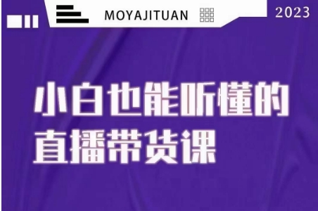 大威本威·能听懂的直播带货课，小白也能听懂，20节完整-啄木鸟资源库